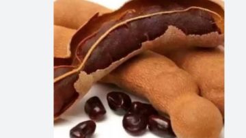 هل تساعد بذور التمر الهندي في علاج آلام التهاب المفاصل؟ هل تساعد بذور التمر الهندي في علاج آلام التهاب المفاصل؟