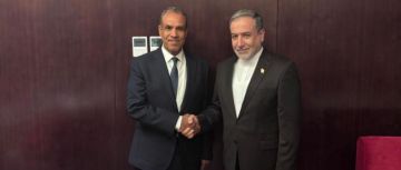 وزير الخارجية يستعرض الجهود التي تبذلها مصر لوقف العدوان الاسرائيلى على الشعب الفلسطيني