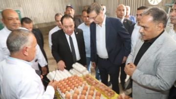 21 ألف فدان للإنتاج المتكامل.. تفاصيل زيارة وزير الزراعة للصالحية الجديدة 21 ألف فدان للإنتاج المتكامل.. تفاصيل زيارة وزير الزراعة للصالحية الجديدة