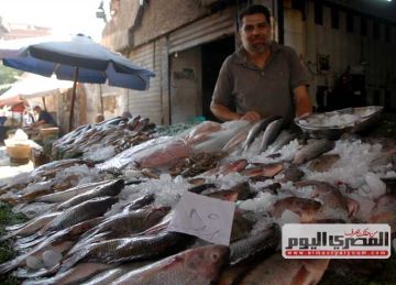 البلطي بـ85 جنيها .. بورصة أسعار السمك والمأكولات البحرية الشعبية بأسواق الإسكندرية اليوم 5 أغسطس 2025 البلطي بـ85 جنيها .. بورصة أسعار السمك والمأكولات البحرية الشعبية بأسواق الإسكندرية اليوم 5 أغسطس 2025