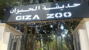 أحدث أعمال التطوير داخل حديقة الحيوان بالجيزة قبل الافتتاح شاهد