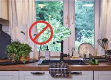 بدون مواد كيميائية.. طرق طبيعية وفعالة للتخلص من الذباب داخل منزلك بدون مواد كيميائية.. طرق طبيعية وفعالة للتخلص من الذباب داخل منزلك