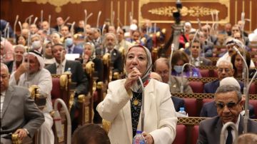 برلمانية: إعلان المجاعة في غزة جريمة ضد الإنسانية.. وإسرائيل تتحمل المسؤولية الكاملة