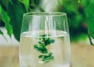 يحميك من الأمراض المزمنة.. 4 فوائد مذهلة لمشروب أوراق الجوافة يحميك من الأمراض المزمنة.. 4 فوائد مذهلة لمشروب أوراق الجوافة