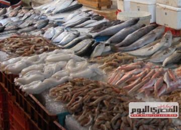 الماكريل بـ220 جنيها.. أسعار الأسماك بسوق العبور اليوم الثلاثاء الماكريل بـ220 جنيها.. أسعار الأسماك بسوق العبور اليوم الثلاثاء