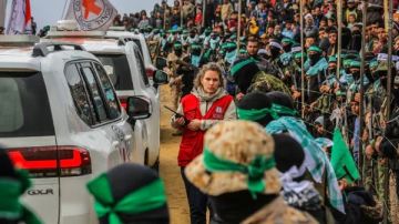 مصادر مصرية للقاهرة الإخبارية: الحكومة الإسرائيلية أمام اختبار حقيقي لإنقاذ الرهائن مصادر مصرية للقاهرة الإخبارية: الحكومة الإسرائيلية أمام اختبار حقيقي لإنقاذ الرهائن