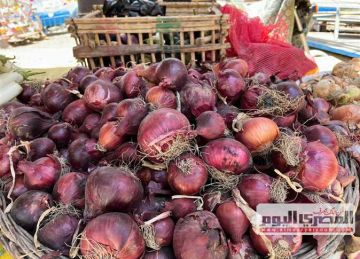 البصل بـ15 جنيها.. أسعار الخضروات اليوم السبت 23 أغسطس 2025 بأسواق الأقصر