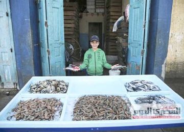 البلطي بـ90 جنيه.. بورصة أسعار السمك والمأكولات البحرية الشعبية بأسواق الإسكندرية اليوم 30 أغسطس 2025 البلطي بـ90 جنيه.. بورصة أسعار السمك والمأكولات البحرية الشعبية بأسواق الإسكندرية اليوم 30 أغسطس 2025