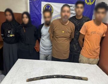 الداخلية تكشف ملابسات فيديو التعدي على سيدة تحمل طفلا بمنشأة ناصر الداخلية تكشف ملابسات فيديو التعدي على سيدة تحمل طفلا بمنشأة ناصر