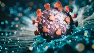 متحور كورونا الجديد .. أعراض الإصابة بفيروس نيمبوس وطرق الوقاية متحور كورونا الجديد .. أعراض الإصابة بفيروس نيمبوس وطرق الوقاية