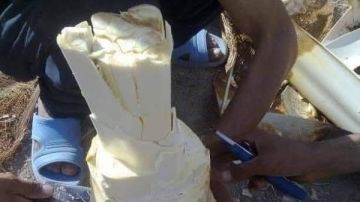 الغذاء السحري من قلب النخلة .. سماح نوح توضح فوائده الصحية الغذاء السحري من قلب النخلة .. سماح نوح توضح فوائده الصحية