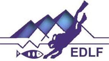 بعد حادث شاطئ أبو ثلاث.. بيان مهم من اتحاد الغوص والإنقاذ