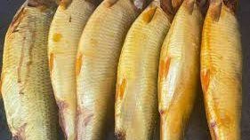 تسبب سرطان المريء.. لا تأكلوا الرنجة النيئة أو مجهولة المصدر