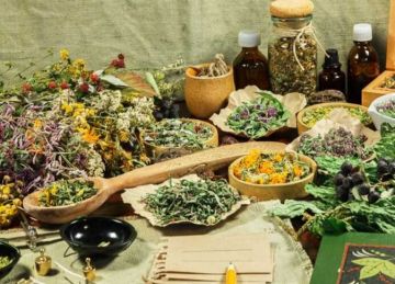 أعصابك مضغوطة؟ 5 أعشاب مهدئة للأعصاب وتقلل التوتر أعصابك مضغوطة؟ 5 أعشاب مهدئة للأعصاب وتقلل التوتر