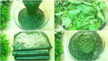 السر في اللون والطعم.. الطريقة الصحيحة لتخزين الملوخية الخضراء دون أن تسود السر في اللون والطعم.. الطريقة الصحيحة لتخزين الملوخية الخضراء دون أن تسود