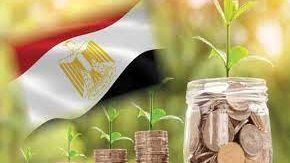 برلمانية: تمكين القطاع الخاص وتعزيز الحوافز الاقتصادية فرصة حقيقية لزيادة الإنتاج