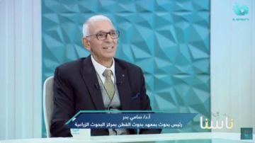 معهد بحوث القطن يكشف تفاصيل زراعته لأول مرة في سيناء معهد بحوث القطن يكشف تفاصيل زراعته لأول مرة في سيناء