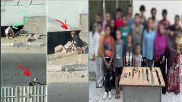 الثقب الأسود.. تفاصيل القبض على أكبر عصابة لتشغيل الأطفال في التسول بالجيزة الثقب الأسود.. تفاصيل القبض على أكبر عصابة لتشغيل الأطفال في التسول بالجيزة