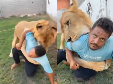 كاد أن يلتهمه.. ليبي يطلق أسده على عامل مصري في مشهد صادم (فيديو)