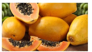 مضادة للسرطان ومفيدة للقلب.. ماذا يحدث للجسم عند تناول فاكهة البابايا يوميا؟ مضادة للسرطان ومفيدة للقلب.. ماذا يحدث للجسم عند تناول فاكهة البابايا يوميا؟