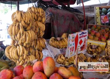 المانجو بـ35 جنيها.. أسعار الفاكهة اليوم السبت 30 أغسطس 2025 في أسواق مطروح