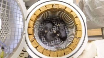 روسيا تتجه لغزو واستعمار الفضاء بسفينة نوح.. ما القصة؟ روسيا تتجه لغزو واستعمار الفضاء بسفينة نوح.. ما القصة؟