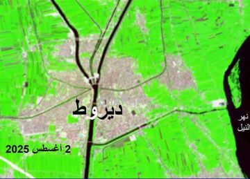 تكلفتها 1.2 مليار جنيه.. عباس شراقي يكشف أهم المعلومات عن قناطر ديروط الجديدة تكلفتها 1.2 مليار جنيه.. عباس شراقي يكشف أهم المعلومات عن قناطر ديروط الجديدة