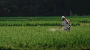 عودة القبة الحرارية.. نصائح ذهبية هامة للمزارعين لتجنب أضرار المحاصيل عودة القبة الحرارية.. نصائح ذهبية هامة للمزارعين لتجنب أضرار المحاصيل