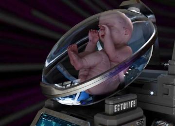  الأرحام الاصطناعية .. هل يمكن أن يعيش الأطفال الخدج في مشيمة خارج جسد أمهاتهم؟