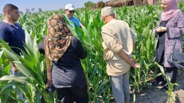 مبادرة بنت الريف.. الإرشاد الزراعي يكشف عن أهم جهوده خلال يوليو
