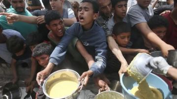 العدل : إعلان المجاعة رسميا في غزة يتطلب زيادة الضغط الدولي على إسرائيل لإنهاء الحرب  العدل : إعلان المجاعة رسميا في غزة يتطلب زيادة الضغط الدولي على إسرائيل لإنهاء الحرب