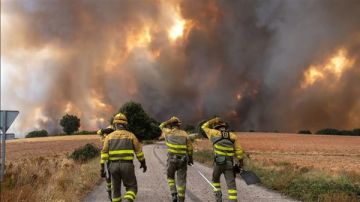 حرائق الغابات في أوروبا تسجل انبعاثات قياسية تهدد الأهداف المناخية العالمية