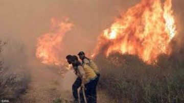 حرائق واسعة في سهل الغاب تلحق إصابات بين المدنيين ورجال الإطفاء في سوريا حرائق واسعة في سهل الغاب تلحق إصابات بين المدنيين ورجال الإطفاء في سوريا