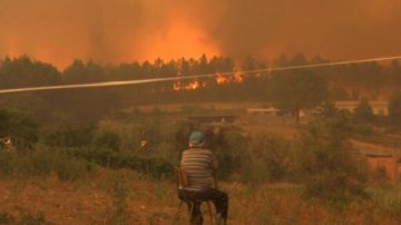 موجة حر شديدة تودي بحياة أكثر من 1300 شخص في البرتغال