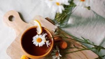 ماذا يحدث عند شرب البابونج؟.. فوائد صحية مذهلة