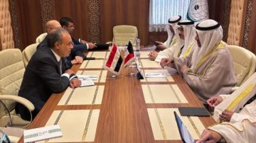 وزيرا خارجية مصر والكويت يؤكدان تعزيز الشراكة والتنسيق العربي لمواجهة التحديات الإقليمية