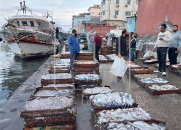 أسعار السمك البلطى والكابوريا والجمبري بالاسواق اليوم الثلاثاء 5 أغسطس 2025