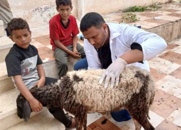 جامعة مطروح و المصرية الصينية تطلقان قافلة بيطرية لقرية أم الرخم جامعة مطروح و المصرية الصينية تطلقان قافلة بيطرية لقرية أم الرخم