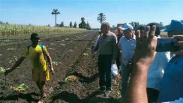 استعدادا لموسم الموالح.. الزراعة تطلق حملات مكثفة لمكافحة ذباب الفاكهة