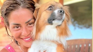 منة فضالي تخطف الأنظار في أحدث ظهور.. شاهد منة فضالي تخطف الأنظار في أحدث ظهور.. شاهد