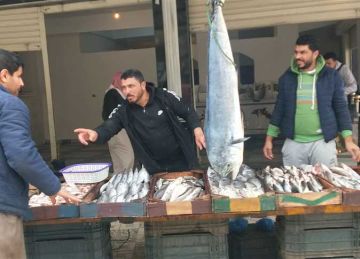 سعر البلطي واللوت اليوم السبت 2 أغسطس في مطروح