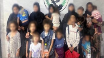 8 سيدات و21 طفلا.. القبض على عصابة تستغل تخصصت في التسول بالشيخ زايد