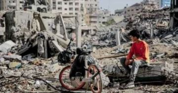 متحدث الخارجية: مصر قدمت 70 من مساعدات غزة وتدعم سلاما يعيد الحقوق