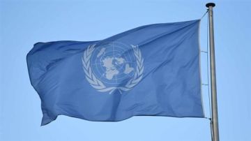 الأمم المتحدة: إسرائيل تتعمد منع المساعدات عن غزة والمجاعة تفتك بالمدنيين الأمم المتحدة: إسرائيل تتعمد منع المساعدات عن غزة والمجاعة تفتك بالمدنيين