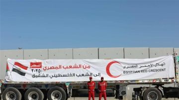 استمرار تدفق المساعدات من مصر إلى غزة عبر قوافل زاد العزة .. تفاصيل