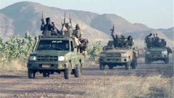 السودان.. مقـ.ـتل 15 مدنيا برصاص قوات الدعم السريع في دارفور