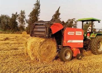  شئون البيئة بالشرقية: بدء تلقي طلبات فتح مواقع تجميع قش الأرز (تفاصيل)