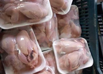 ضبط كميات من اللحوم والأسماك مجهولة المصدر بكفرالشيخ