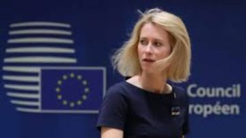 الاتحاد الأوروبي: الاستيطان الإسرائيلي خرق للقانون الدولي ويقوض حل الدولتين