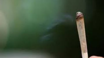 ليست المخدرات فقط.. أمور تذهب العقل وتؤثر على الإدراك كلها حرام ليست المخدرات فقط.. أمور تذهب العقل وتؤثر على الإدراك كلها حرام